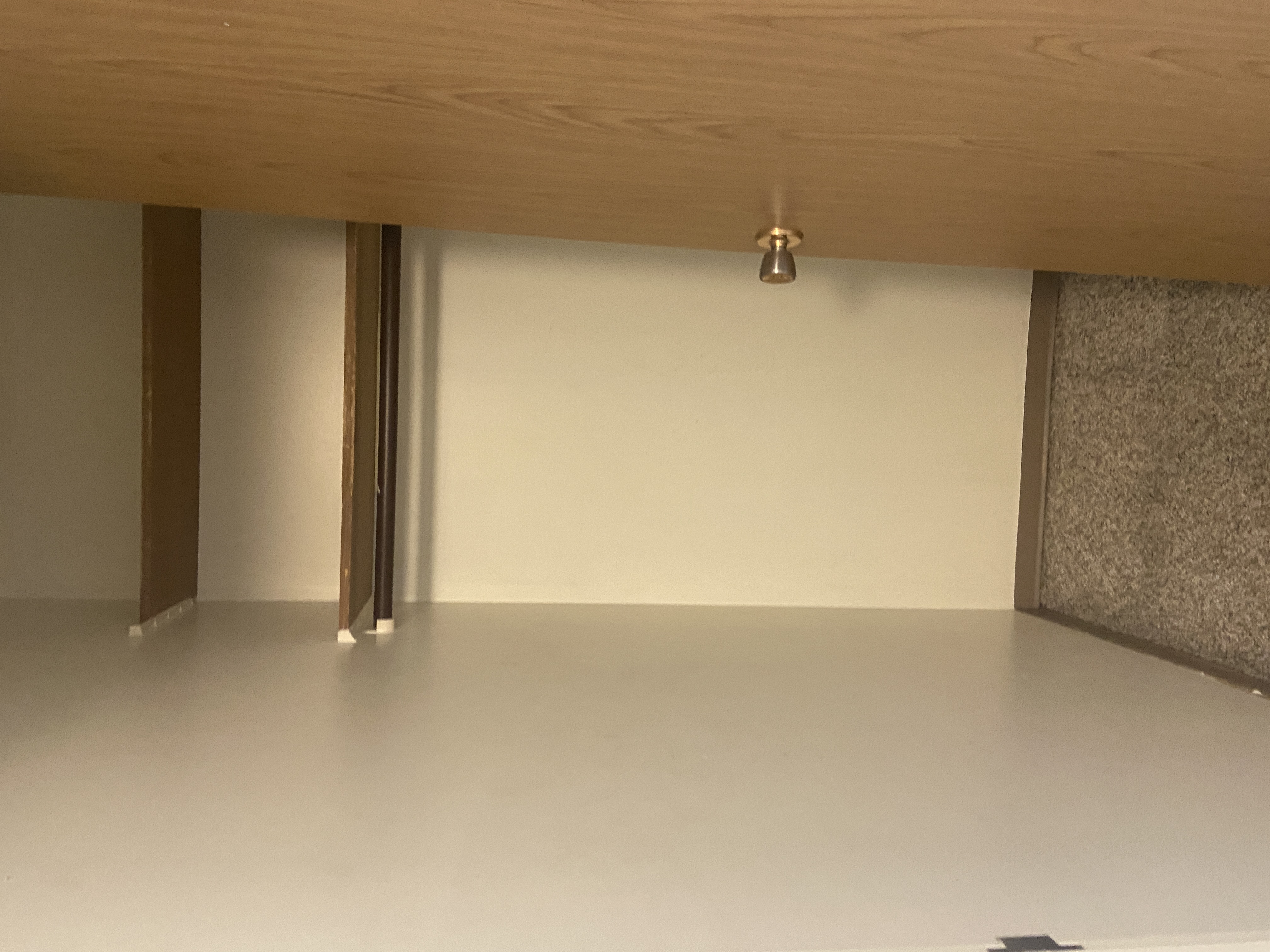 Large 1 Bedroom Down Town With Walk in Closet